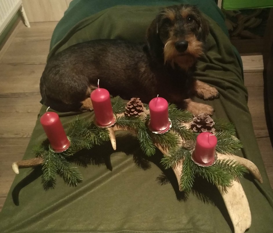 Wann kommt jetzt das Christkind