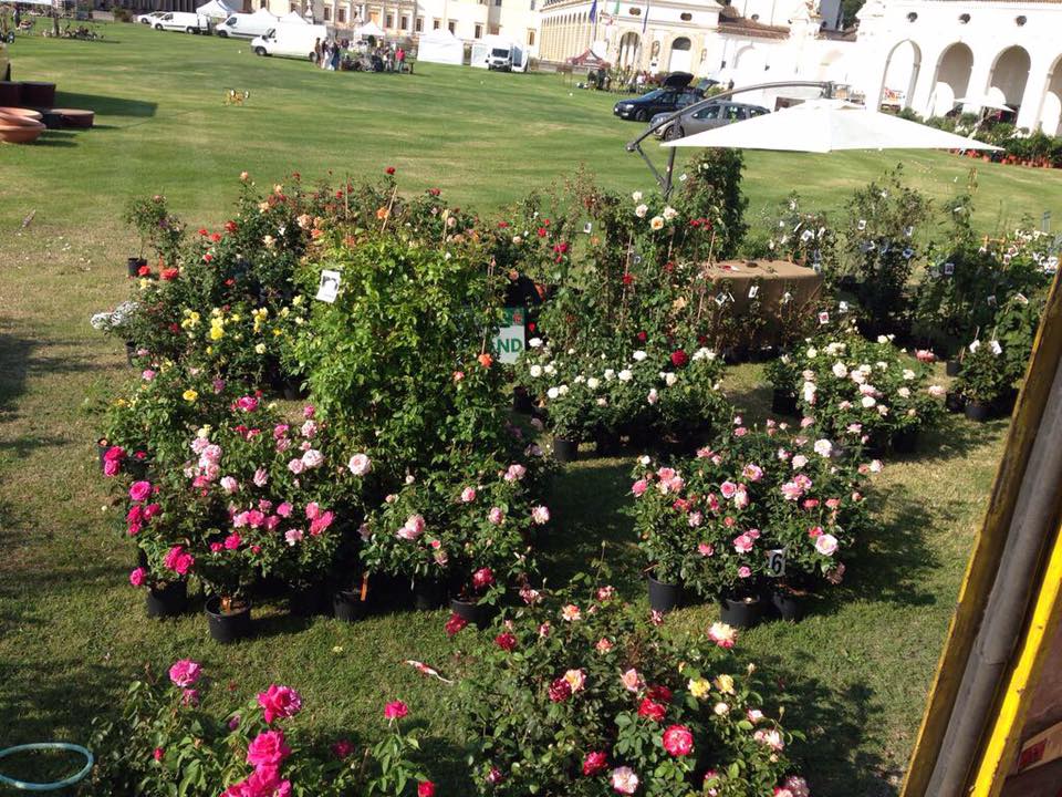 Eccoci nella deliziosa cornice di Villa Manin!!