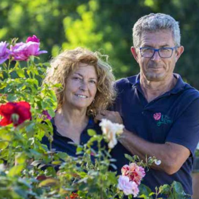 Vivai Veimaro - Avvolti Dalle Rose.... La Soddisfazione Traspare Evidente.