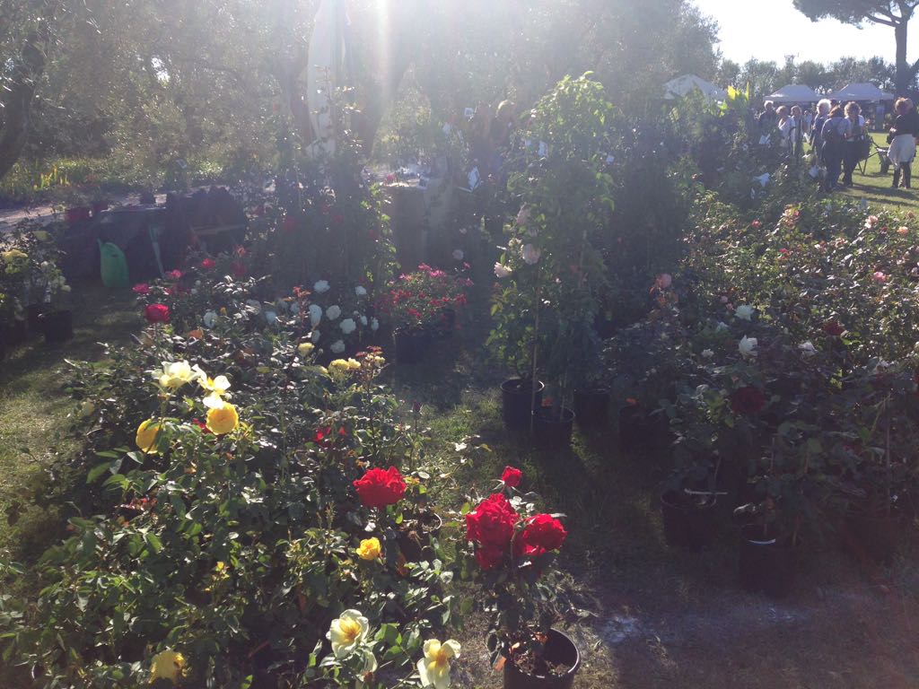 Autunno ?! Alla Landriana. Nel nostro stand anticipo di primavera