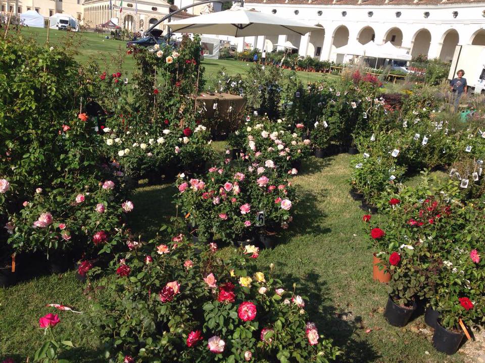 Eccoci nella deliziosa cornice di Villa Manin!!