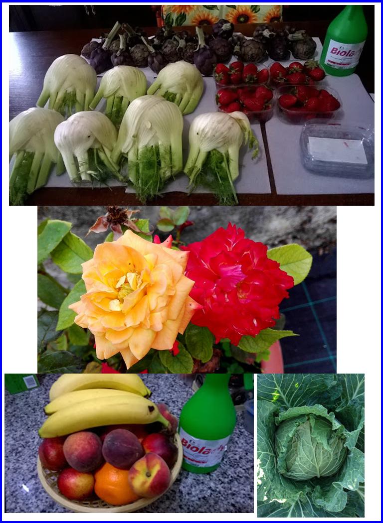 Aumentare La Produttività Di Ortaggi, Frutta, Verdura..... Con #AcquaBase
