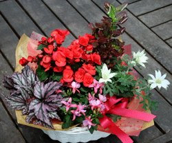 生産直売の宮子花園は、お花のギフトにピッタリの花かごセット中を、お手頃価格で販売しています。