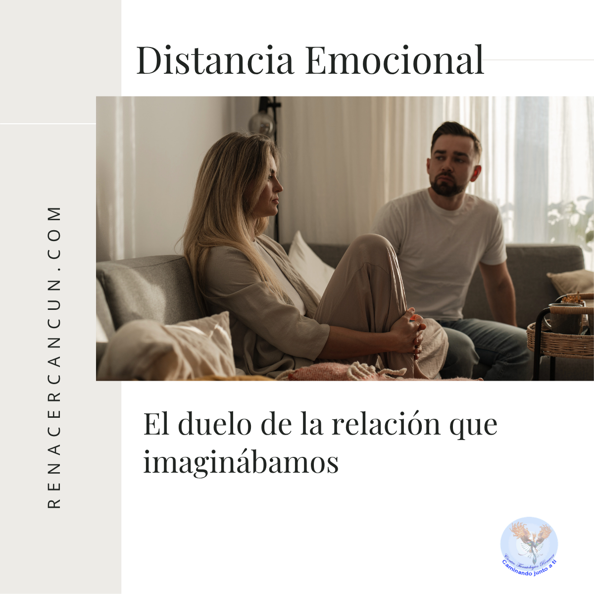 Distancia Emocional