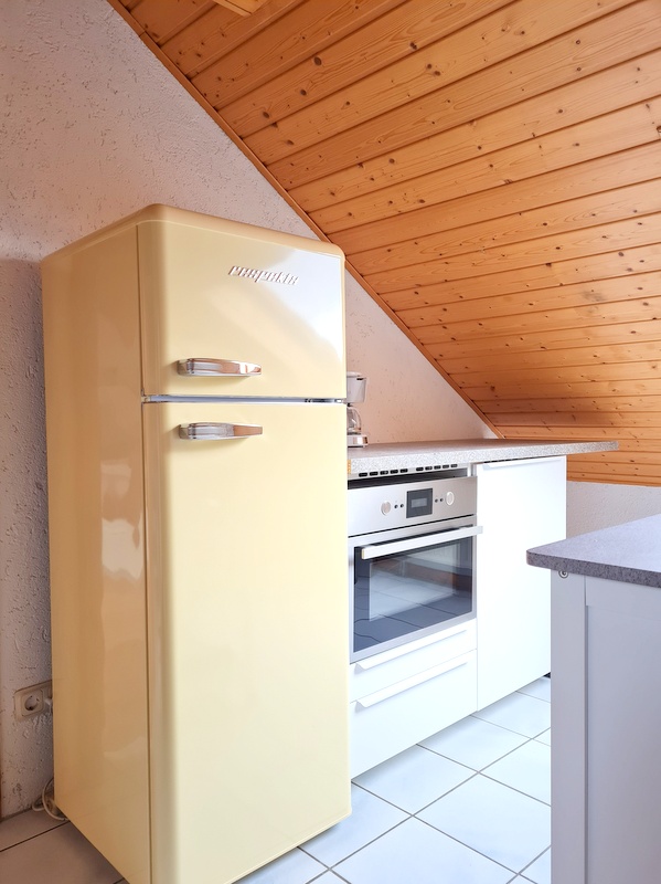 Vollausgestattete Küche Apartment Mainz Uniklinik