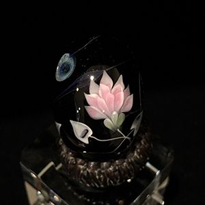 作家紹介 - glassbiennale ページ！