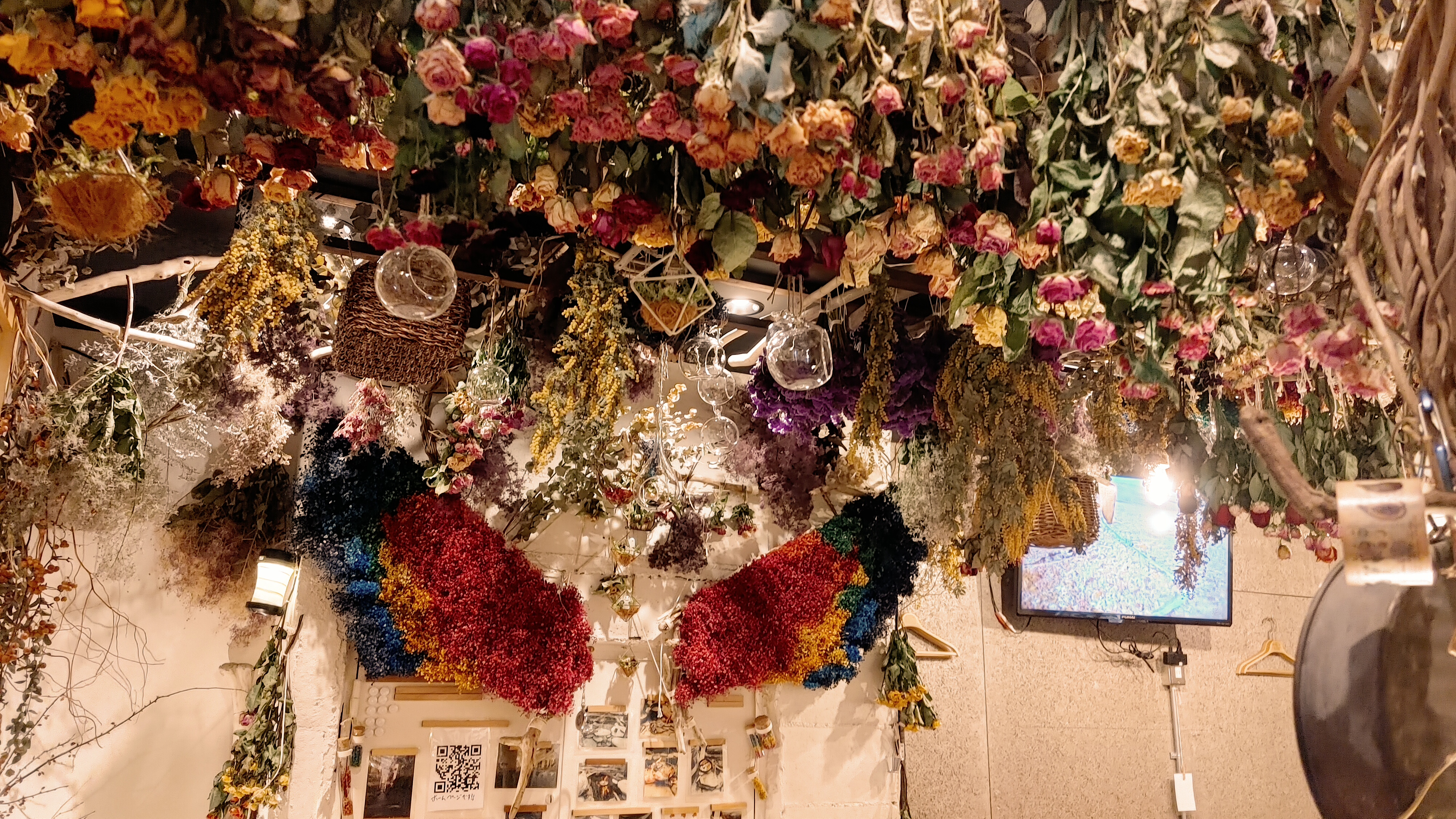 osteria洋風居酒屋HISAGO