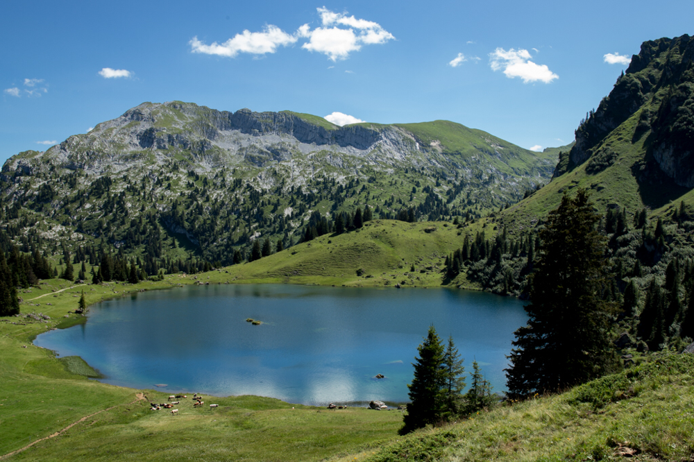 Seebergsee, Simmenta,l Berner Oberland,