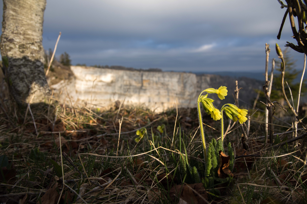 Val de Travers, Neuchatel, Creux du Van