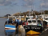 La flottille étaploise au quai de Boulogne