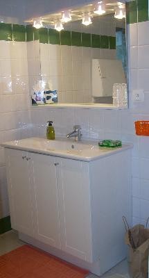 Salle de bains avec lavabo et douche à l'italienne