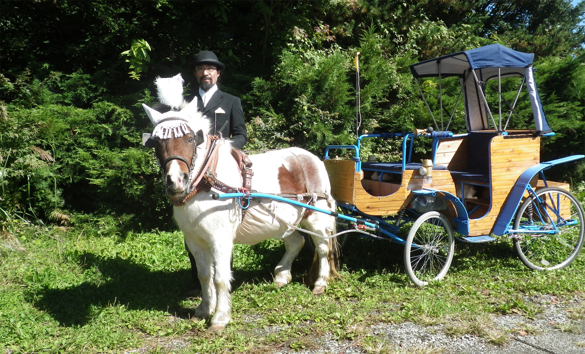ウェディング フォトウェディング向け馬車運行 関東 中部一円出張可 Ohagikikaku ページ ウェディング フォトウェディング向け馬車運行 関東 中部一円出張可 Ohagikikaku ページ