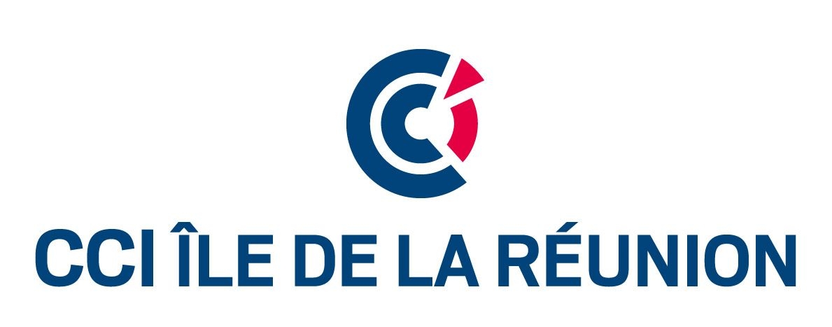 CONSEILS AUX ENTREPRISES PME ILE DE LA REUNION 