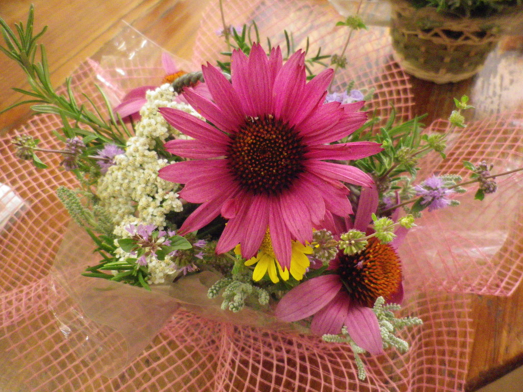 2012.7.22 10:30~ ハーブの花アレンジ