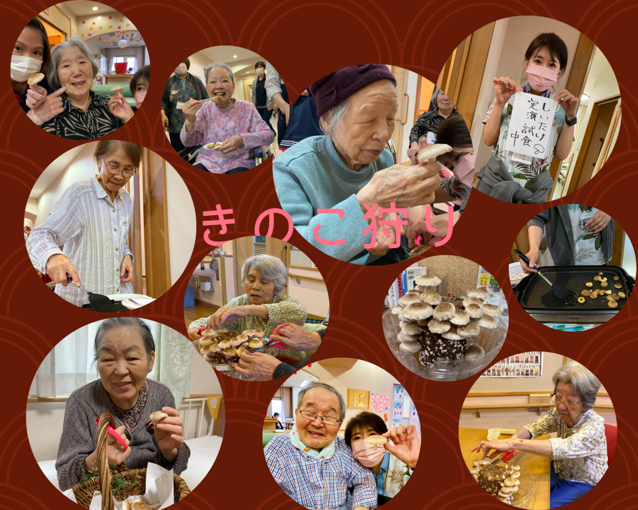 きのこ祭り♪