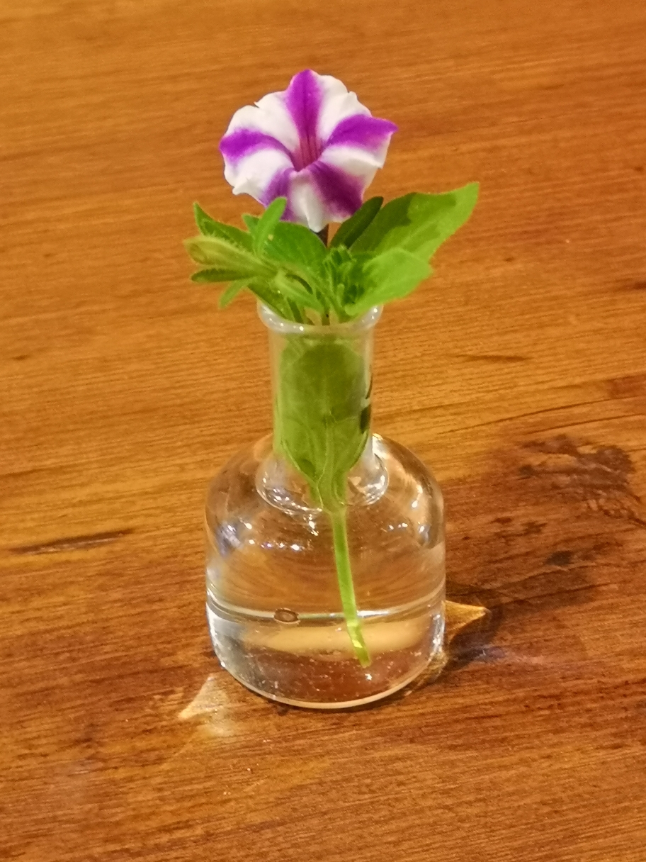 求めず与える自然の美しさ