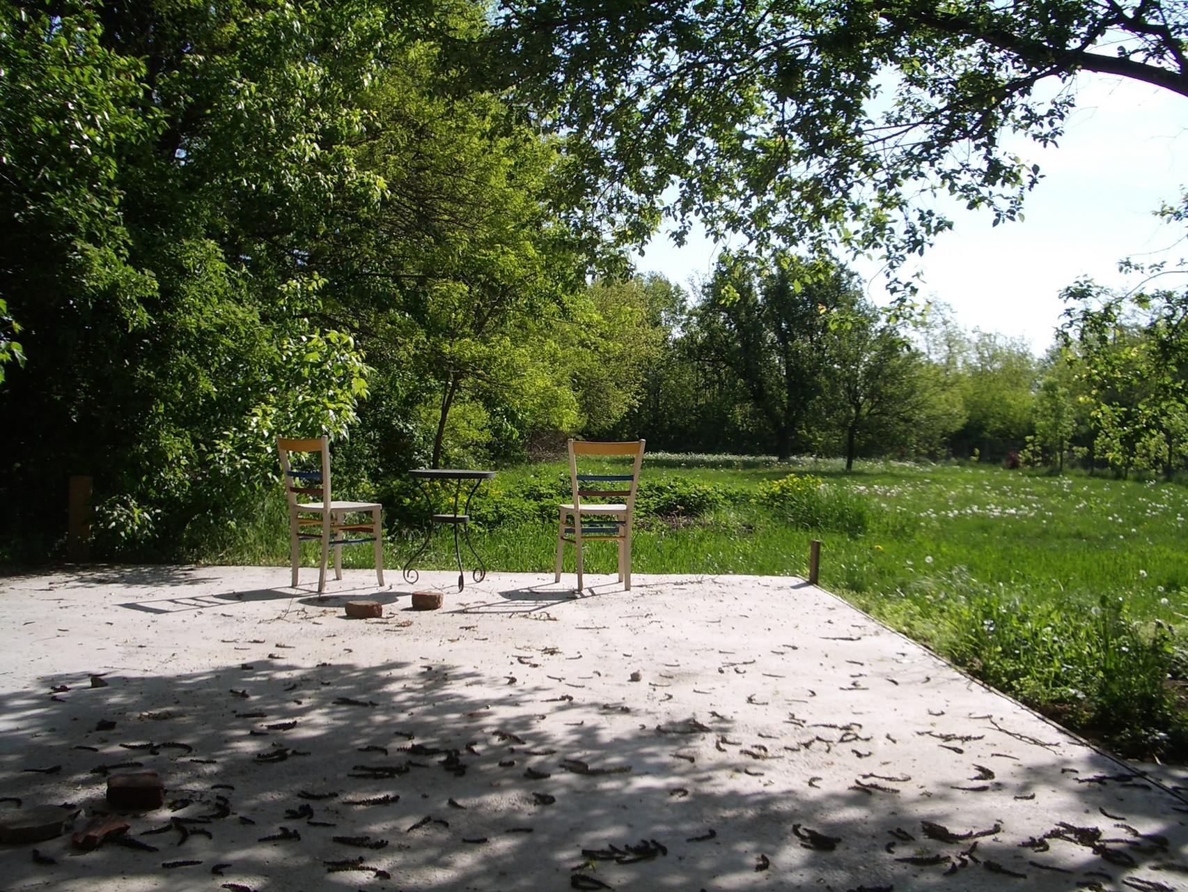 Obstgarten im Sommer