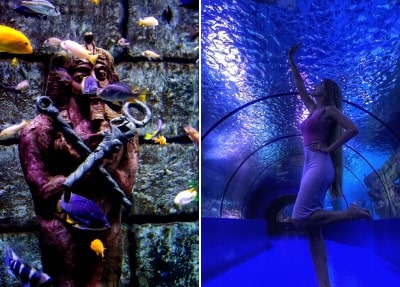 Antalya Aquarium Tour – Transfer & Admission | Belek Tours