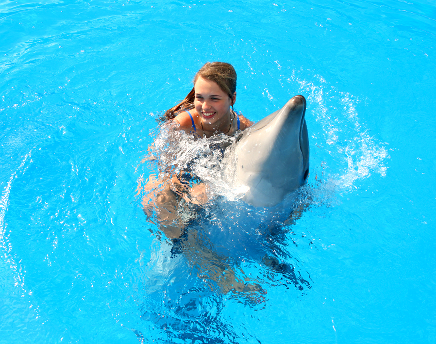 Antalya Dolphin Show