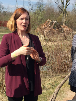 Wir befinden uns im Gelsenkirchener Zoo. Auf dem Bild sieht man mich im Vordergrund am Dolmetschen. Im Hintergrund sieht man sechs Giraffen, die fressen. Es ist schönes Wetter. Die Sonne scheint.