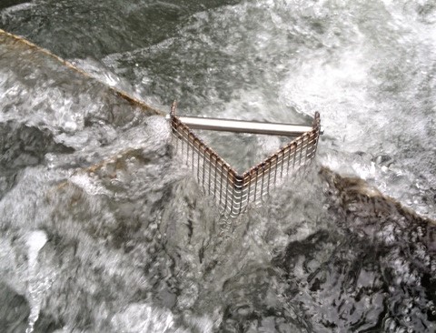 In bestehender Fischtreppe ohne Zählbecken ein Monitoring durchführen