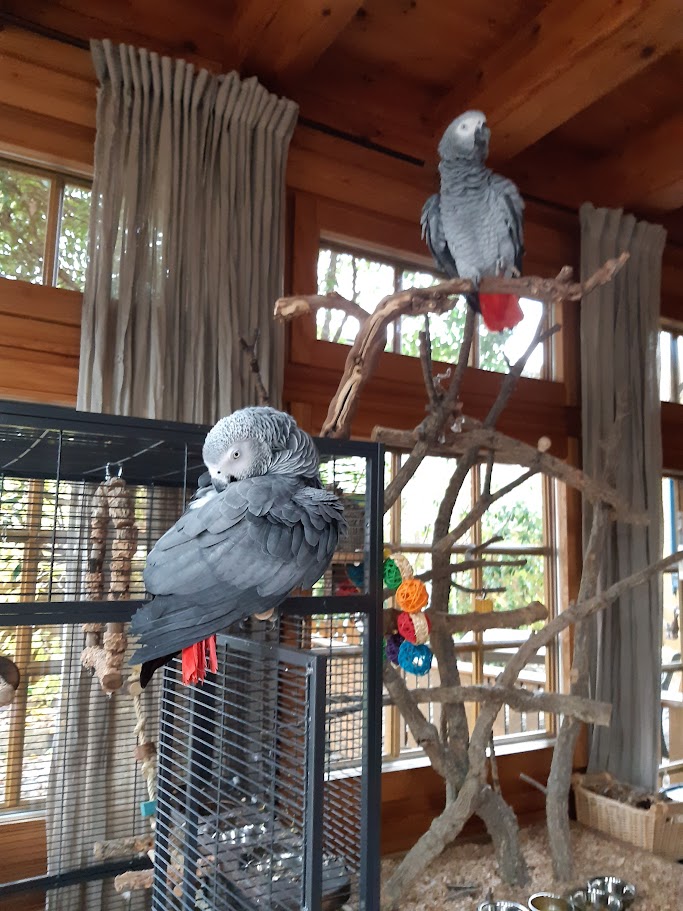 Neue Bewohner im Haushalt