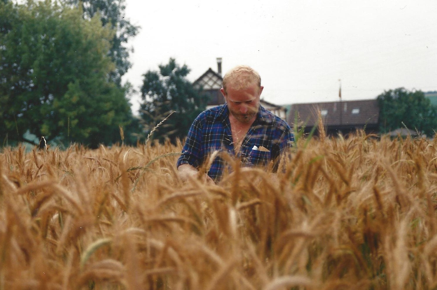 Hans in seinen jungen Jahren im Getreidefeld