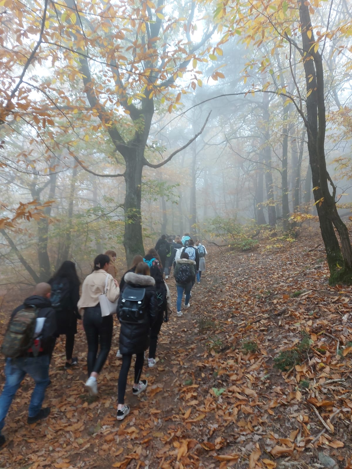 Hinauf, hinauf zum Schloss! - Integrierte Gesamtschule Contwig