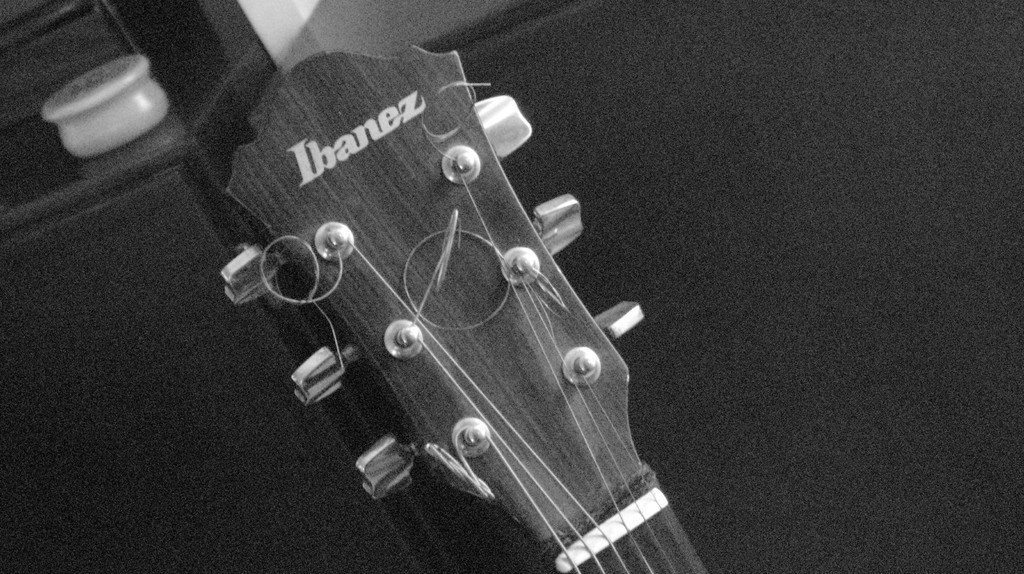 paletta chitarra acustica