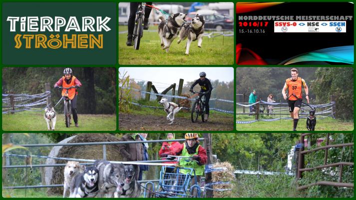 Deutsche Meisterschaft Dryland Ströhen