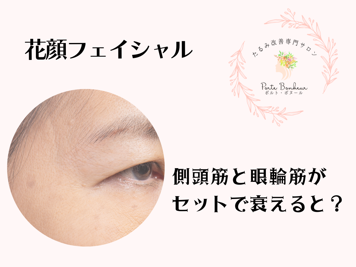 側頭筋と眼輪筋がセットで衰えると？