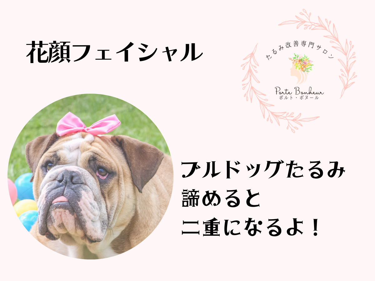 ブルドッグたるみ 諦めると二重になるよ！