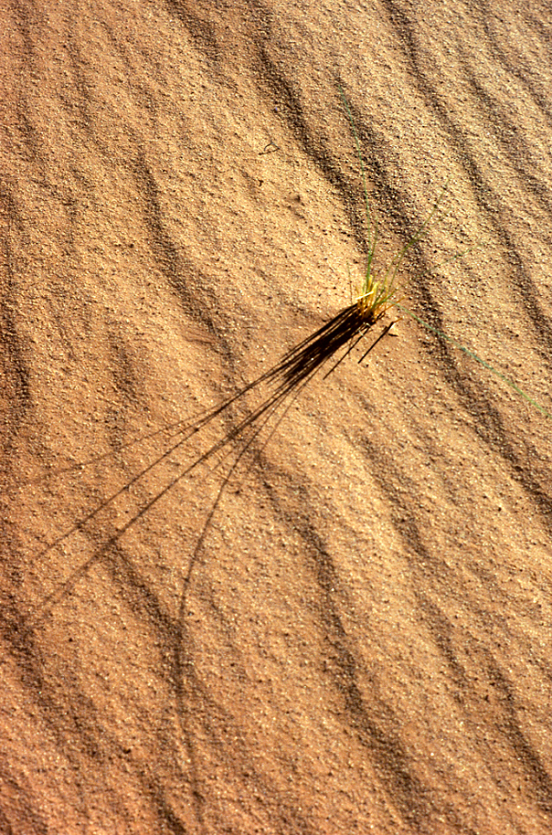 Wüste©Erik Primbsch