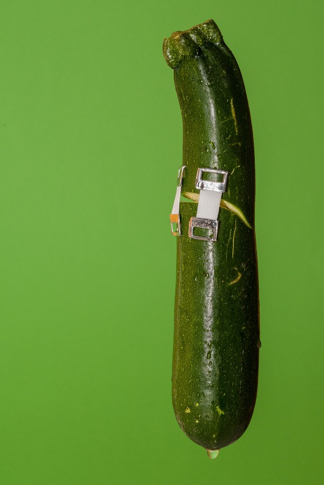 Udo Stoeter "Zucchini"