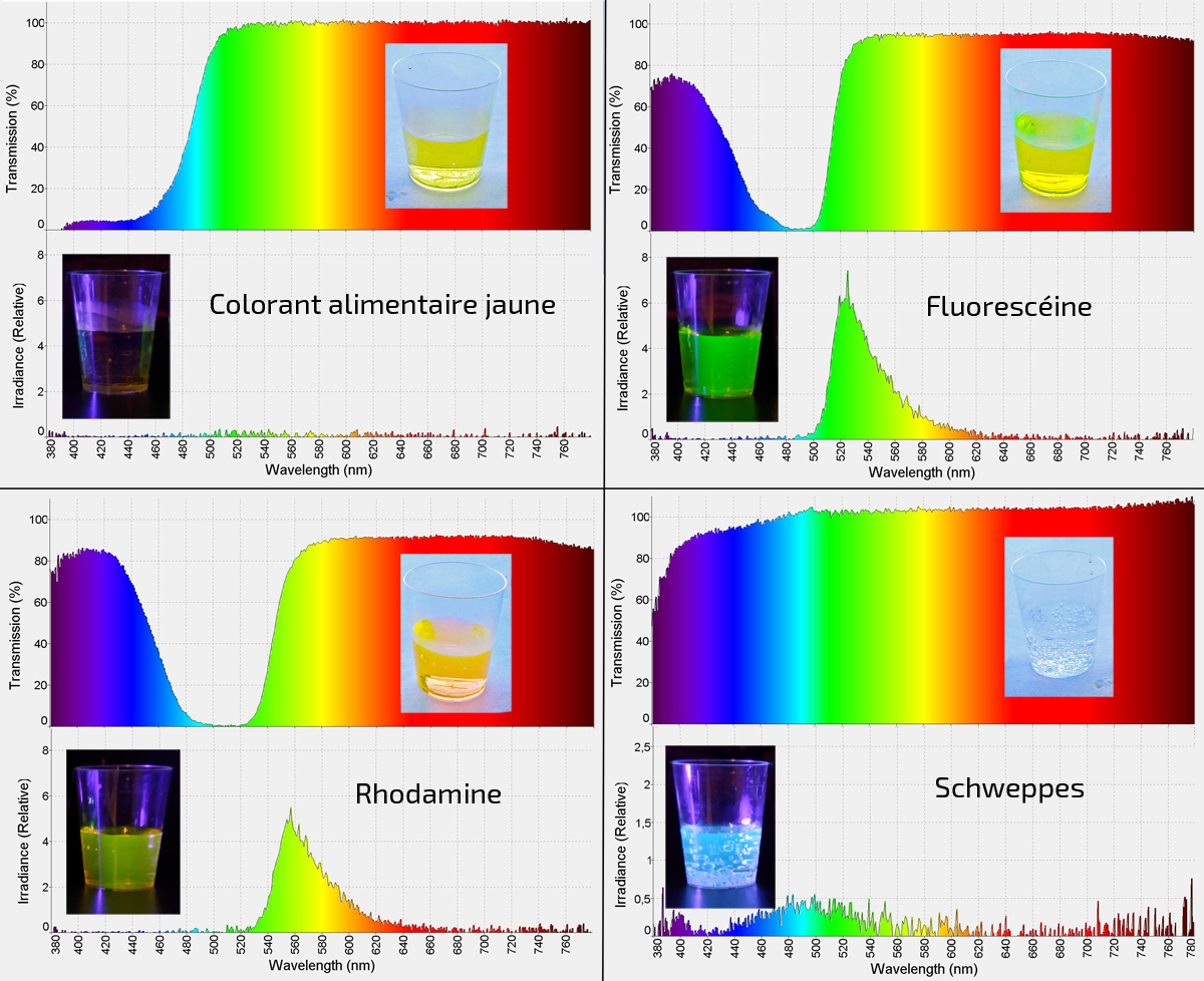 La fluorescence et la phosphorescence - 1,2,3 Couleurs ! Expériences  scientifiques et boutique sur la couleur