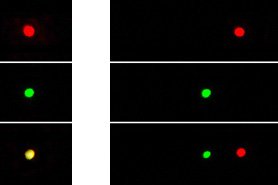Spectres d'un laser rouge, vert et mélange des deux (jaune polychromatique)