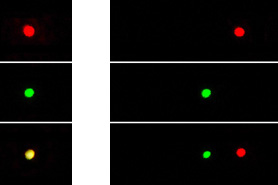 Spectres d'un laser rouge, vert et mélange des deux (jaune polychromatique)