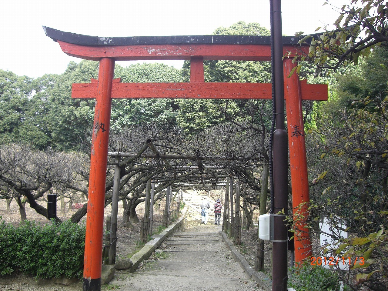 03_道明寺天満宮　境内裏には梅林が広がる