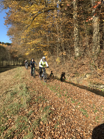 Mit dem Mountainbike über Stock und Stein...