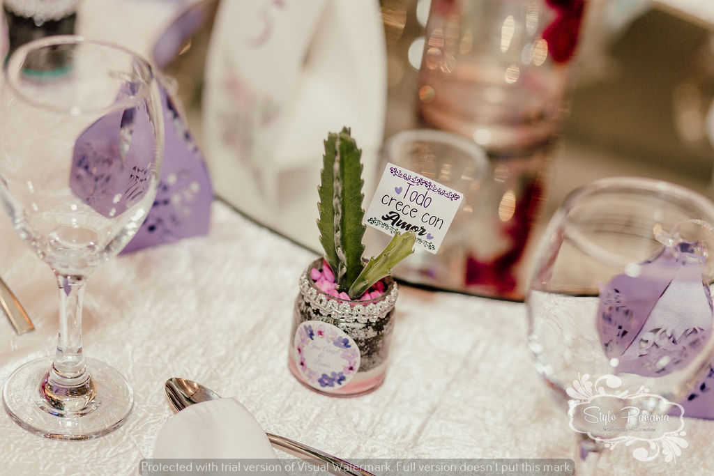 Mini plantas: Todo crece con amor