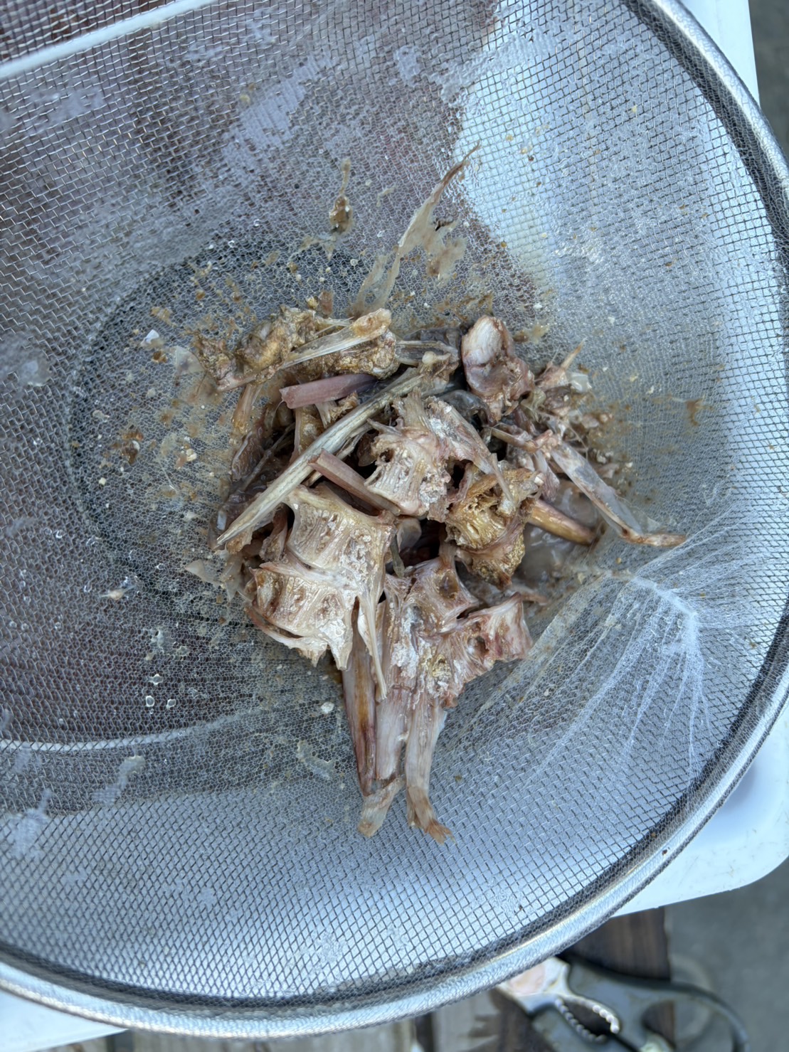 胃の中にも、魚の骨が幾つか出てきました。