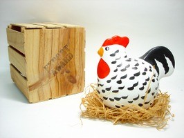 Plymouth rock rooster