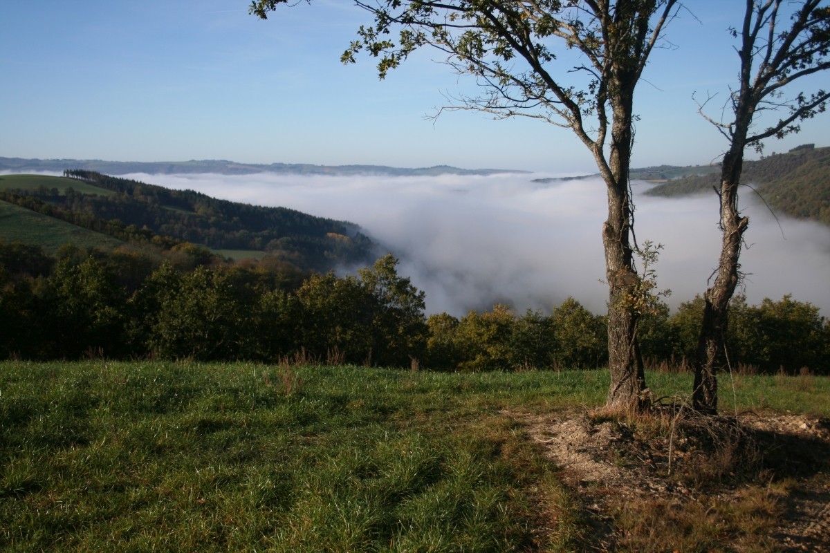 Vue à la Martinié