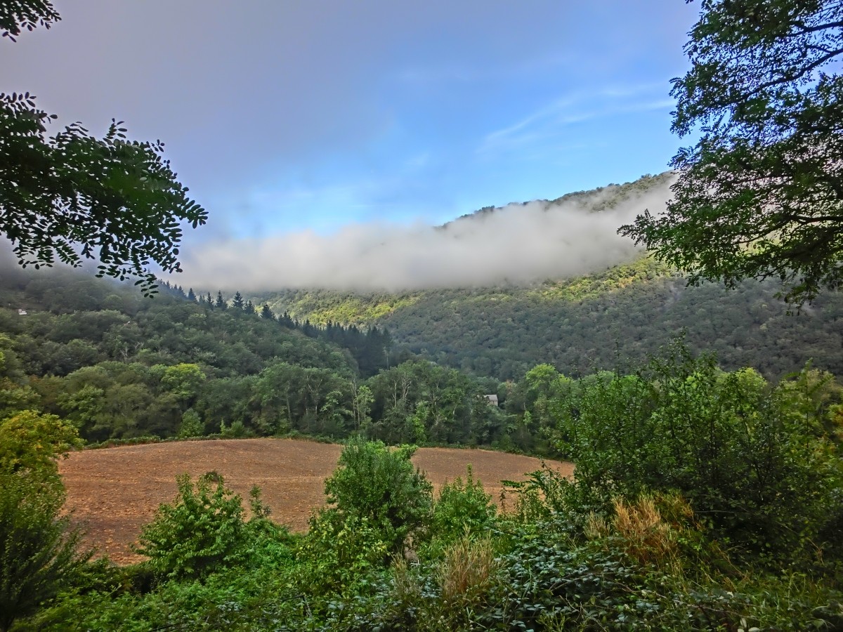 La Vallée dans la rosée
