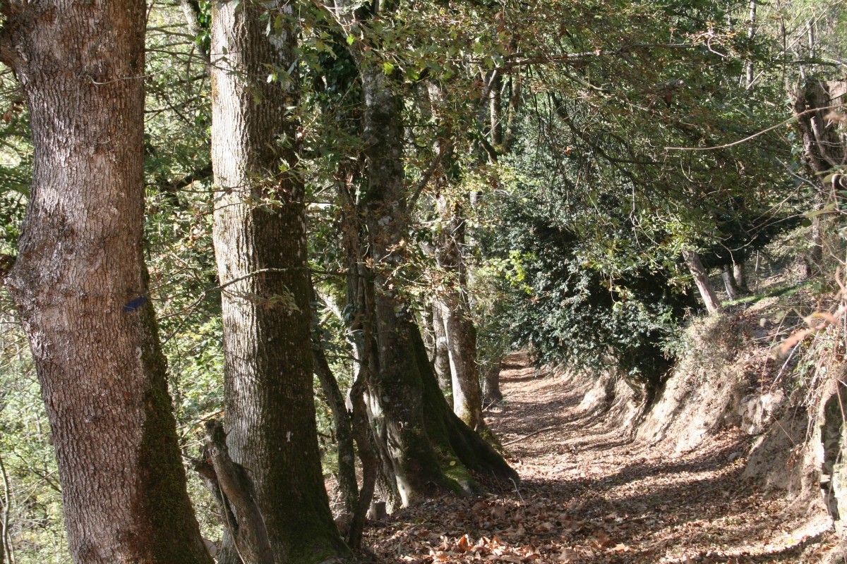 Promenade Albugue