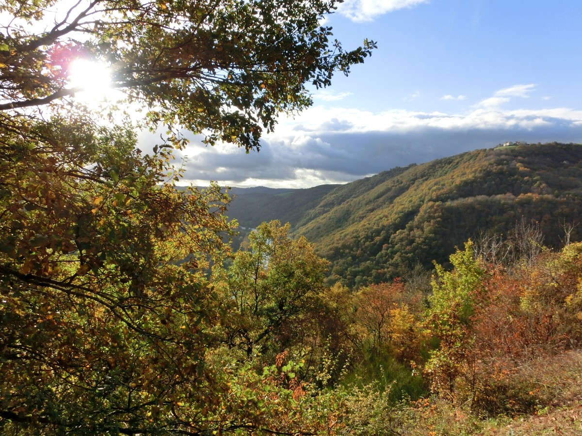 Vue dans la Vallée du Tarn en Novembre