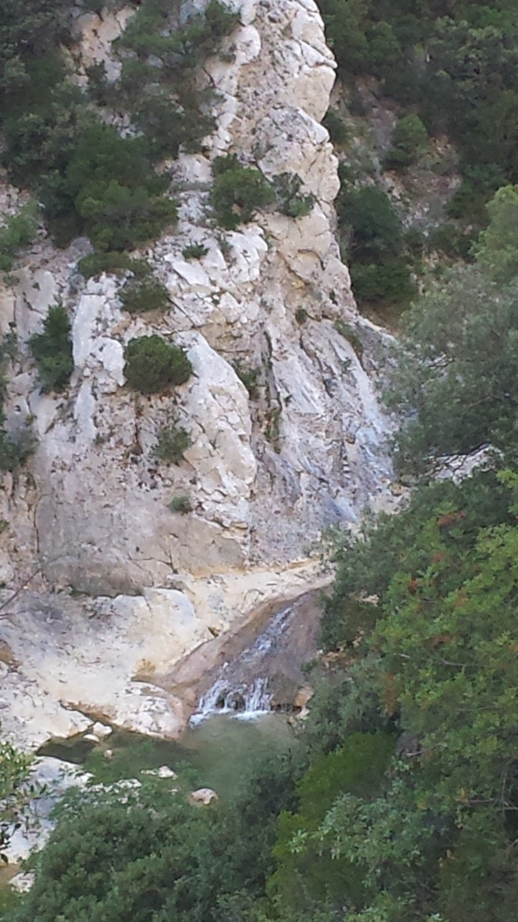 Les gorges de Galamus