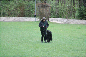 Ursula Kuhn mit Sel. CIE Ch. Apawi Avec la Force de l`Our