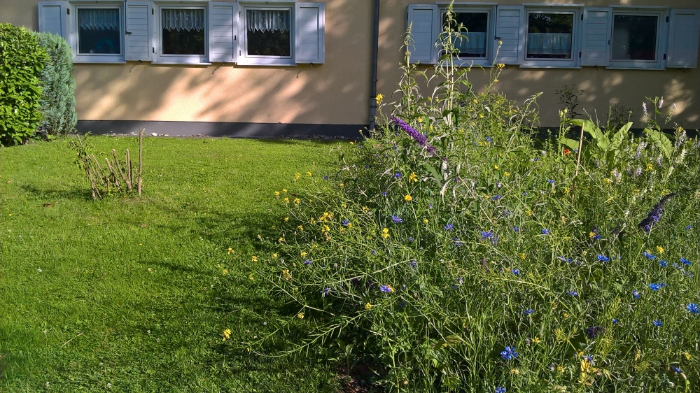 Arbeitskreis Insektenschutz