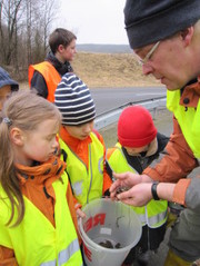 Eitorfer NABU-Kindergruppe "Waldfledermäuse" beim Krötensammeln. (Foto: Ulrich Kuczkowiak)